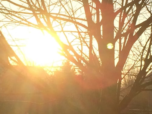 sun