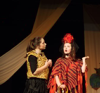 Act play performance in theater