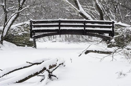 Wintry crossing in woods Footbridge across a stream covered with snow in a winter snowstorm, with a fallen tree in foreground, in northern Illinois, USA, at the start of January