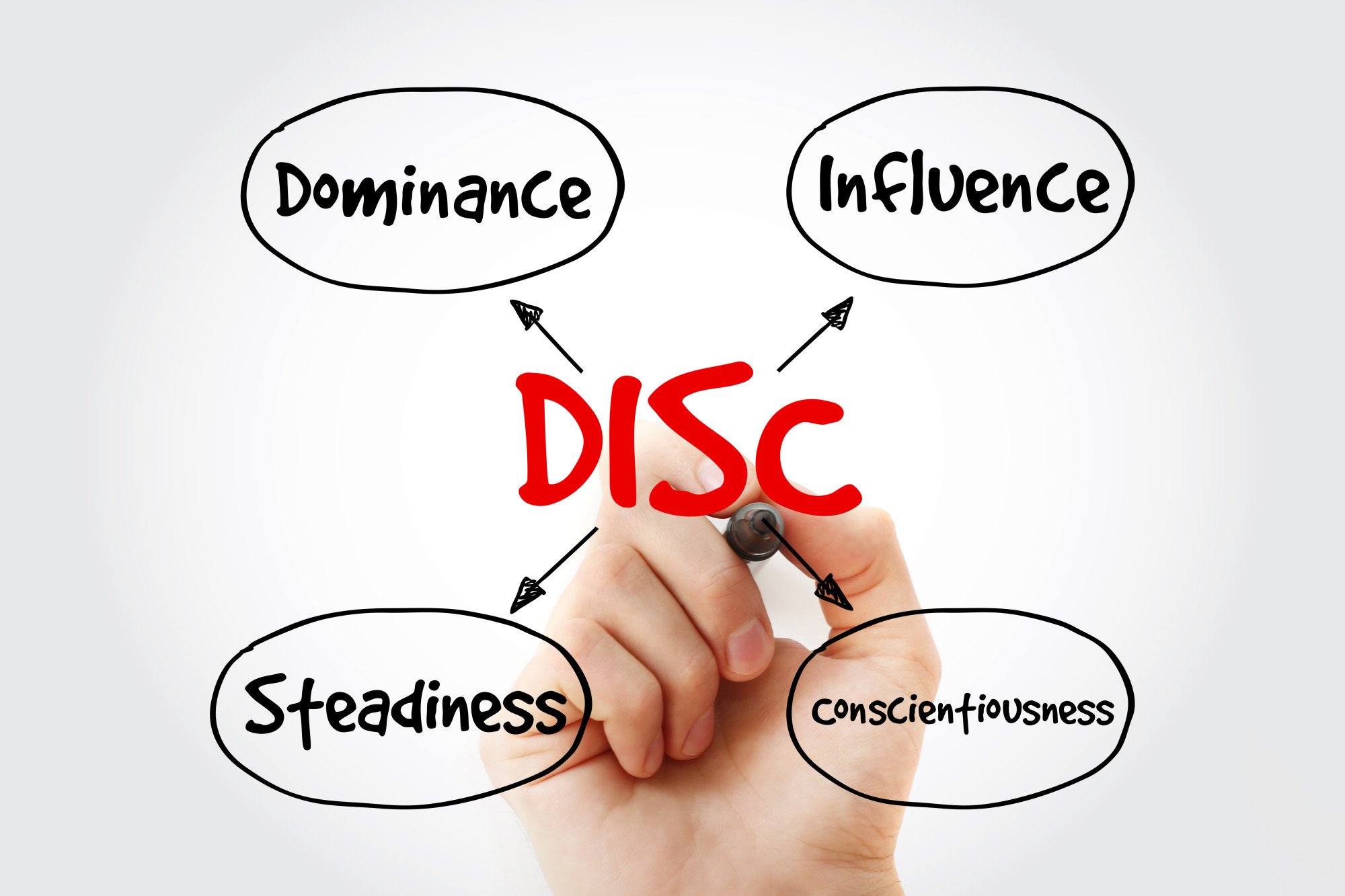 D Type DISC Personality Style Explained